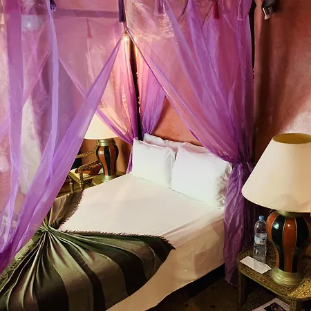 Riad Moullaoud-2